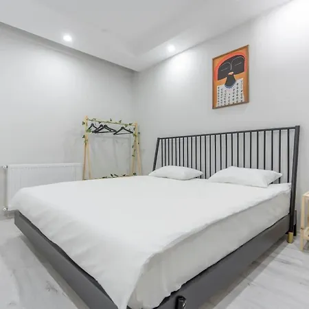 Spacious 2br Flat Near Old Town & Mall Holiday home *